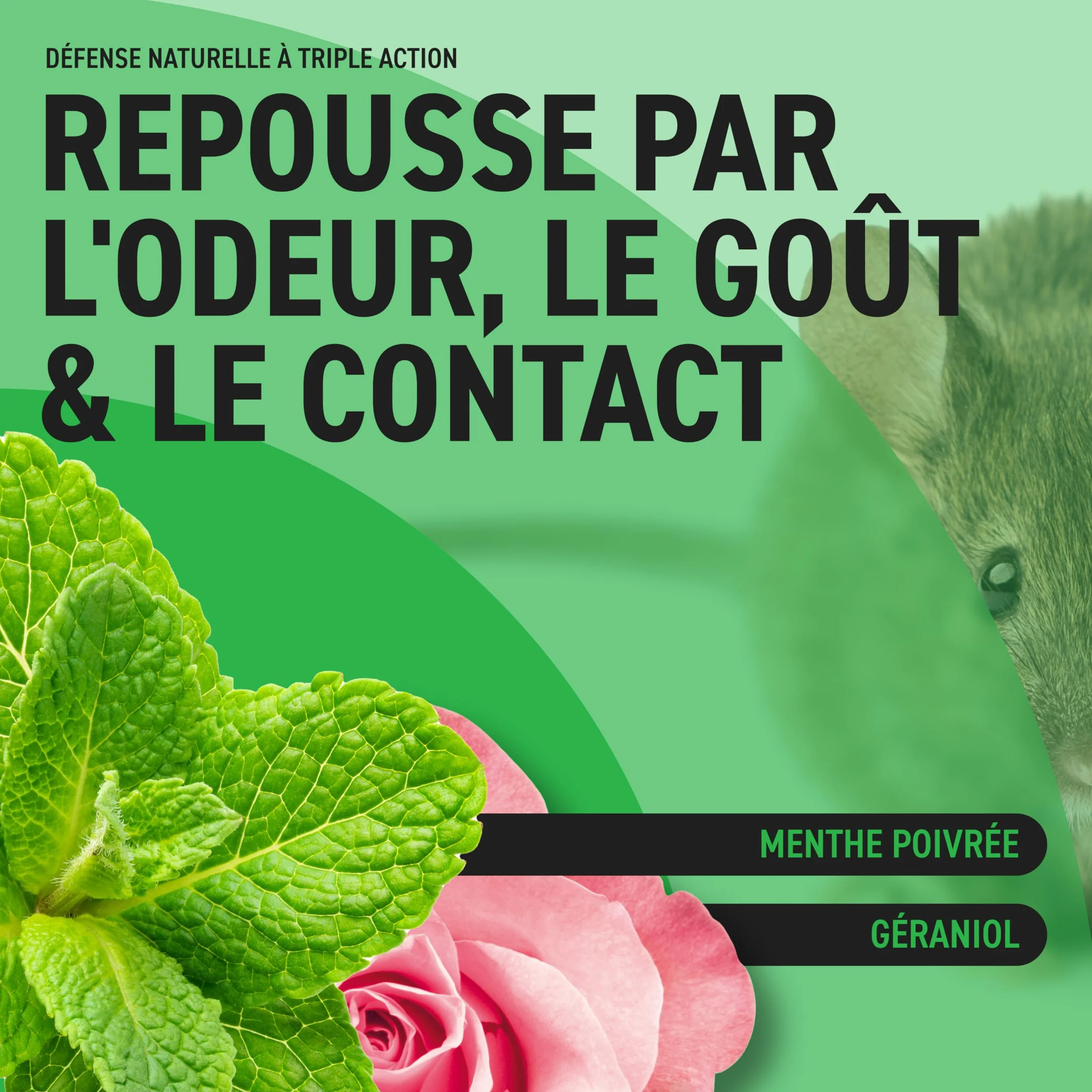 Répulsif Anti Souris & Anti Rat 250ml Non Tachant Huile Essentielle Menthe Poivrée