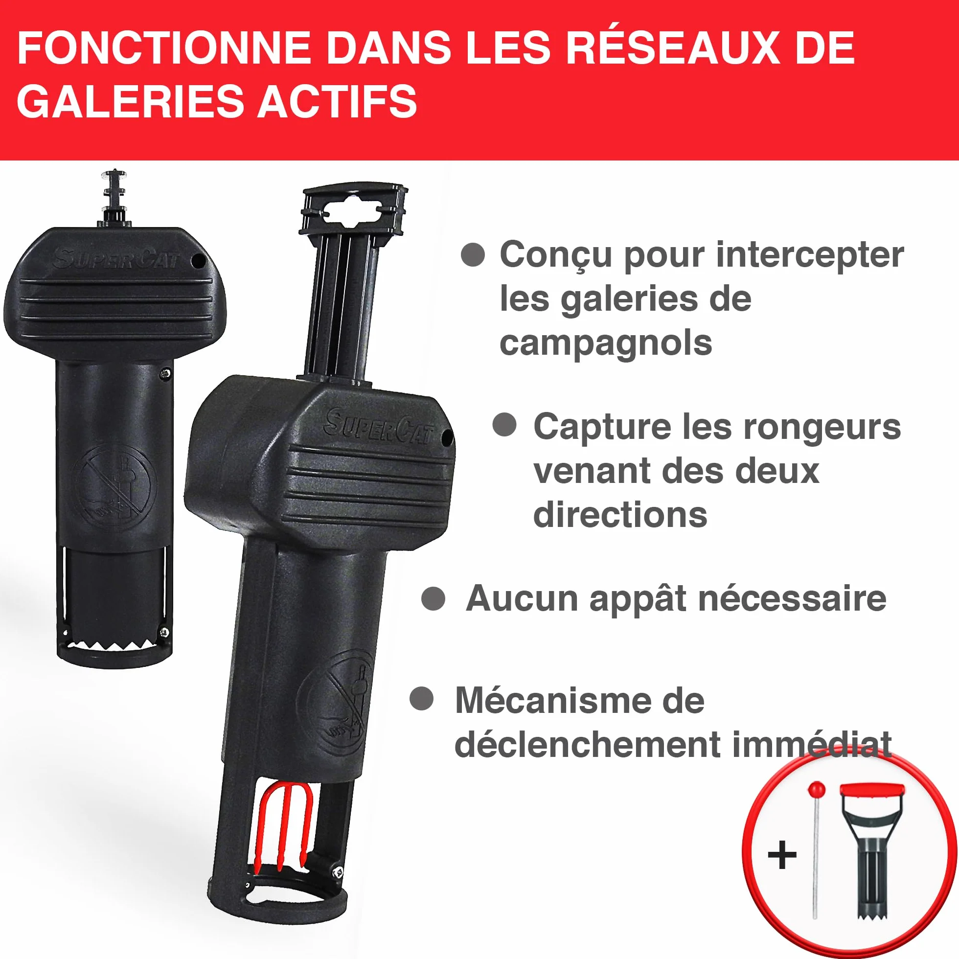 SWISSINNO Piège à campagnols Pro SuperCat 2X Pièges + Accessoires Mécanisme breveté Réutilisable
