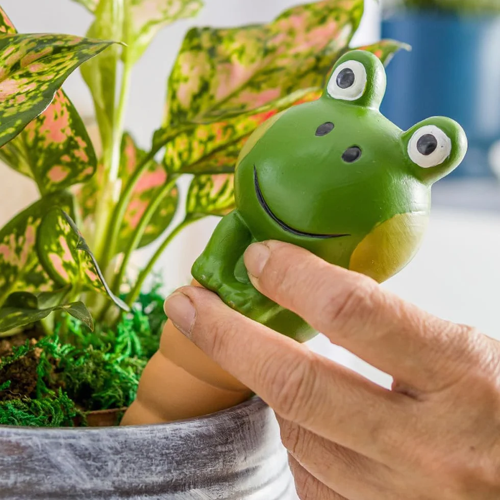 Kaxich 4 Pièces Auto-arrosantes en Terre Cuite, Arrosage Goutte à Goutte Automatique pour Plantes