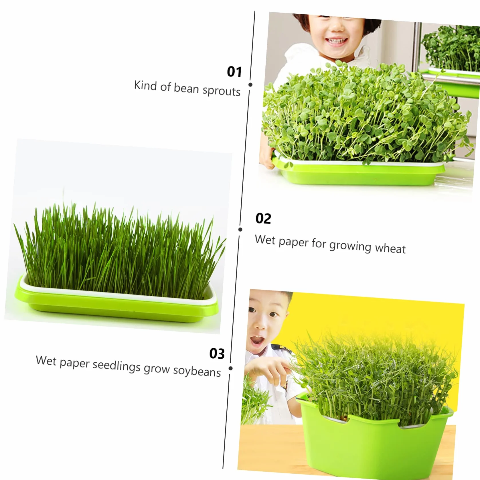 Papier De Germination 150 Feuilles Absorbantes pour Cultures sans Sol De Légumes