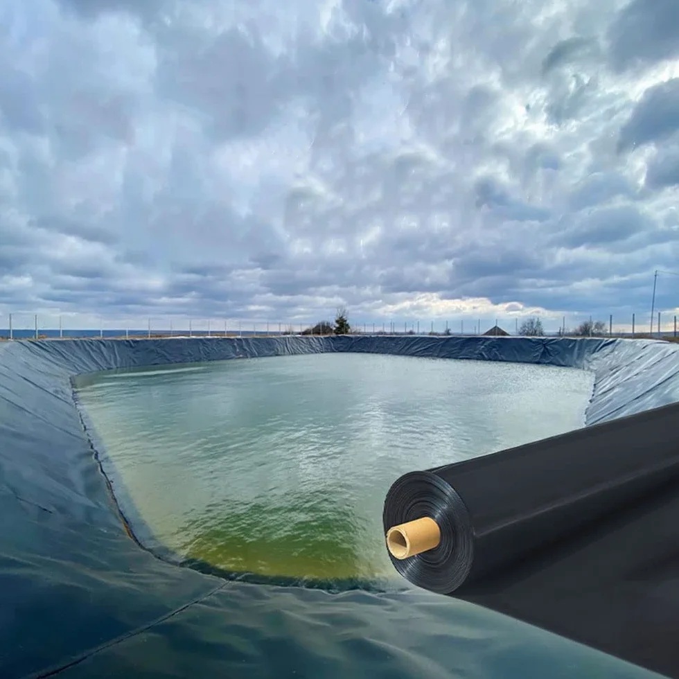 Bâche de Bassin HDEP Noir Imperméable Liner pour Bassin koï 4x7m