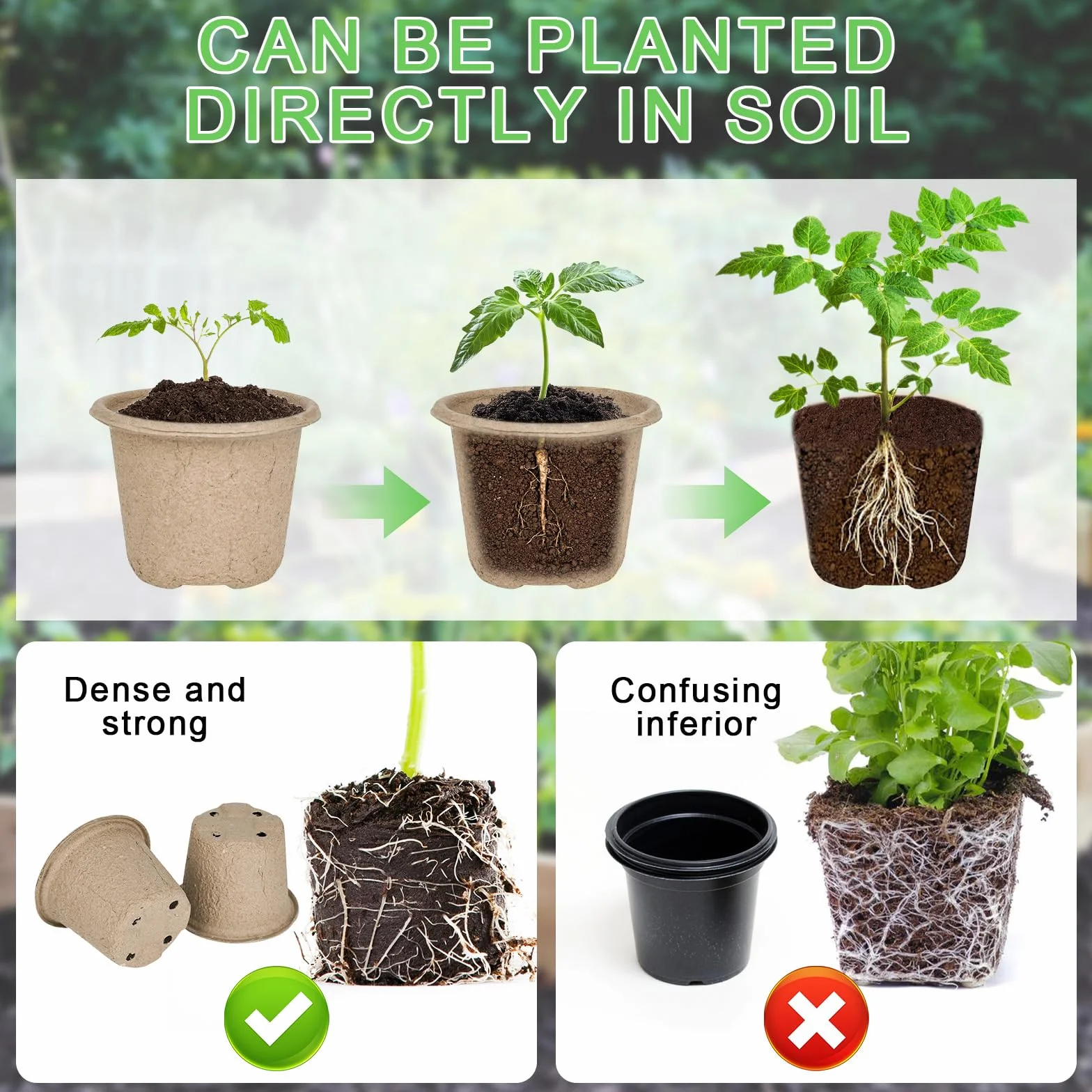 Pots de semis biodégradables Ø 11 cm lot de 20 avec étiquettes