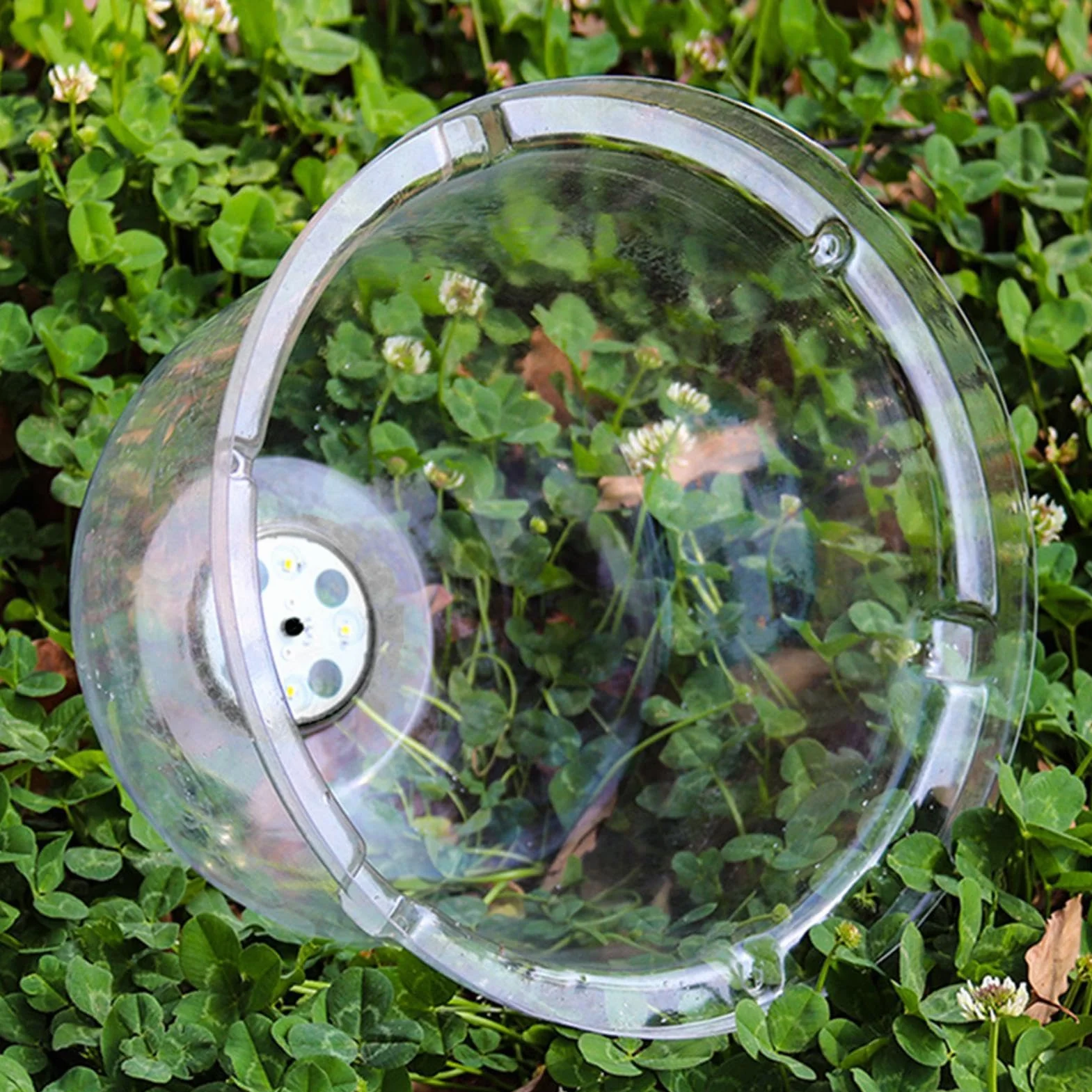 Lot de 10 Dômes de Serre de Jardin Transparents Réglables pour Propagation