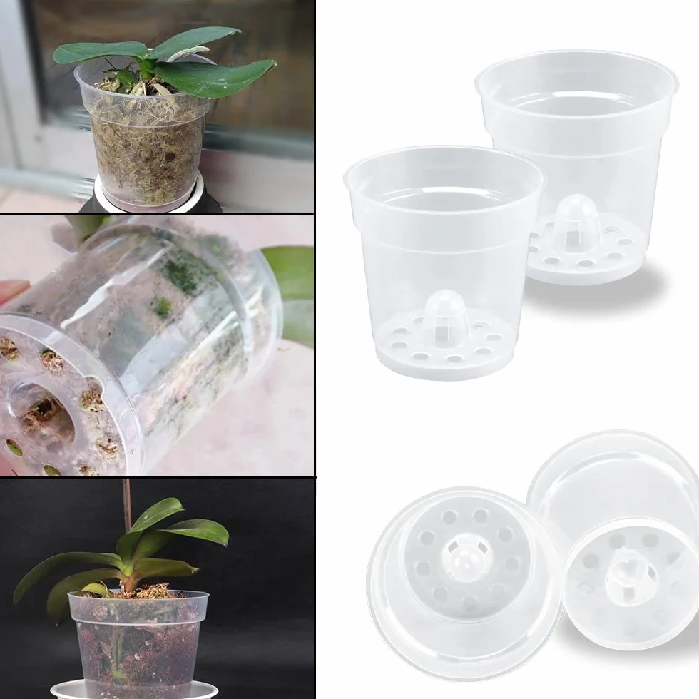 Pot Transparent Orchidée 6 Pièces Pot de Fleur Plastique avec Trous de Drainage