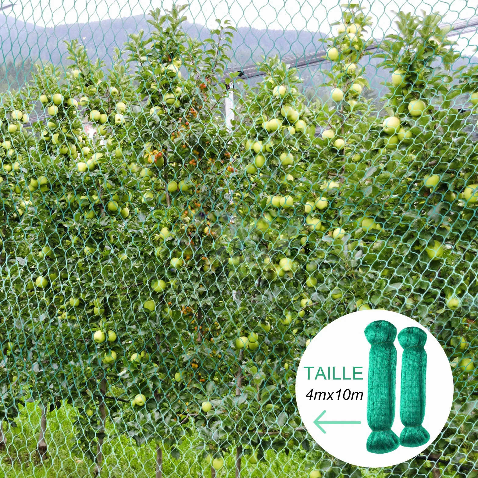 Anpro Filet Anti Oiseaux 4x10m Vert Maille 15mm Protection Plantes Jardin