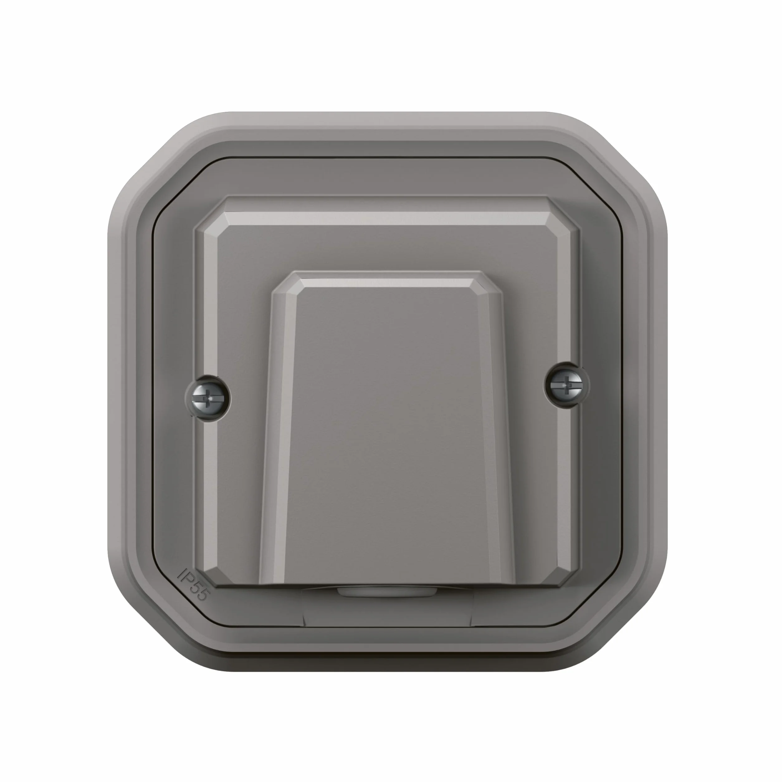 Legrand 069849L PL-COMP E/S PULS PERS 10A BL Baumarkt, gris