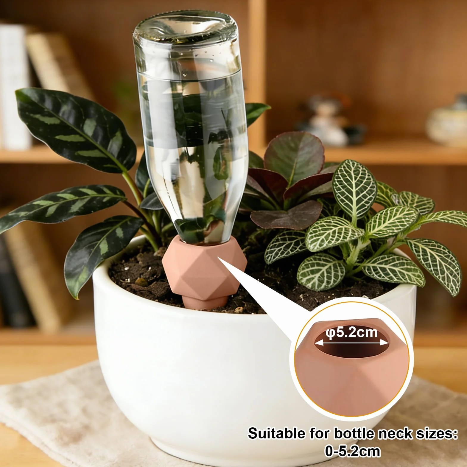 EXLECO Oyas Arrosage Automatique 8×366ml Cône Polygonal Olla pour Plantes Intérieur Jardin