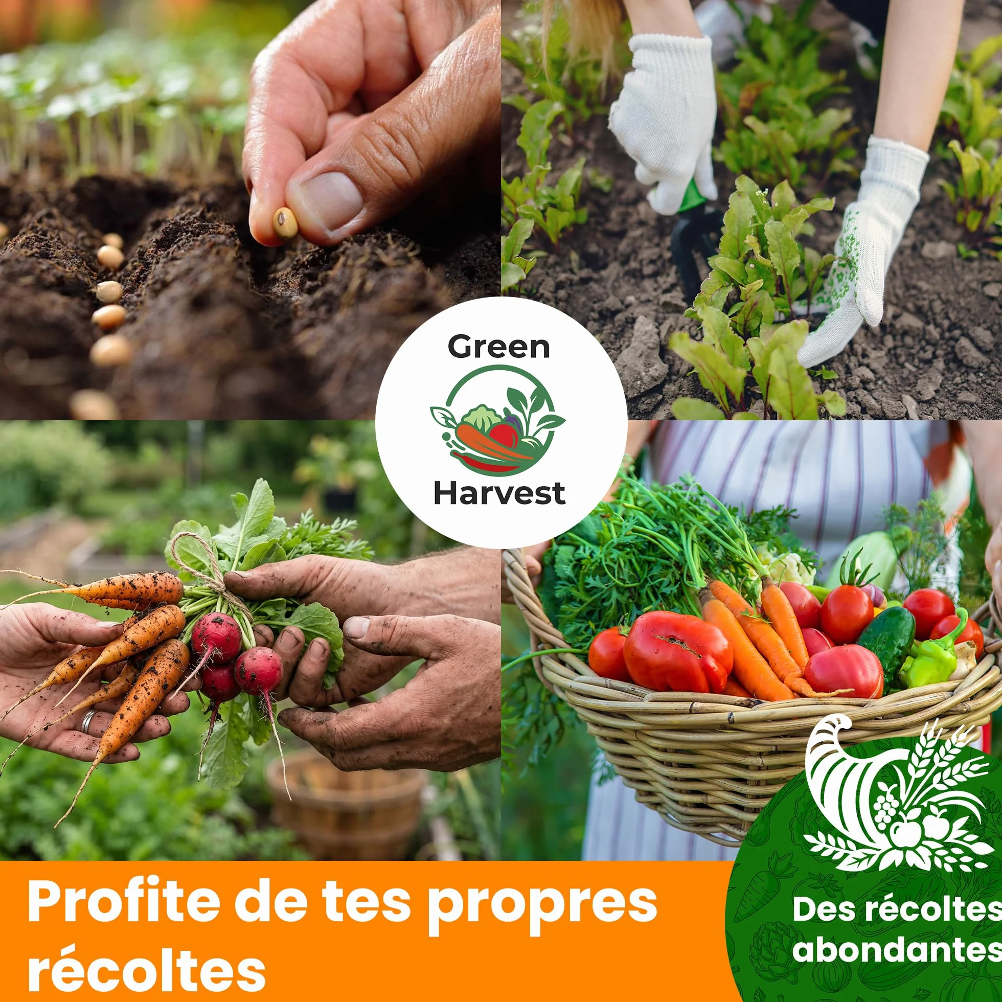 Kit de Graines de Légumes 15 Variétés – Tomate, Concombre, Carotte, Poivron, Courgette, Radis