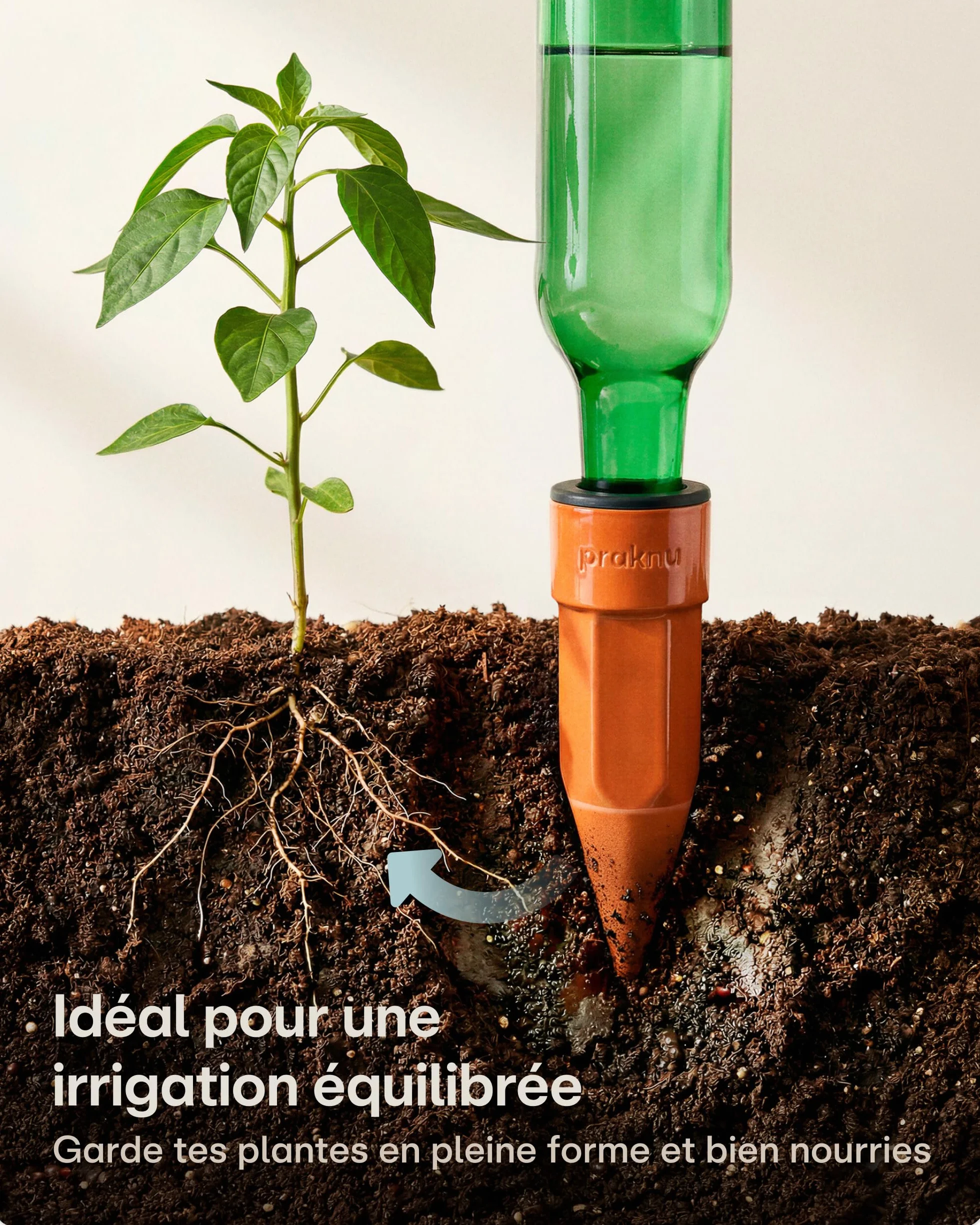Oyas à Planter en Terre Cuite Petit – Arrosage Automatique Jusqu’à 10 Jours – Étanche avec Adaptateur PET – Distributeur d’Eau pour Vacances
