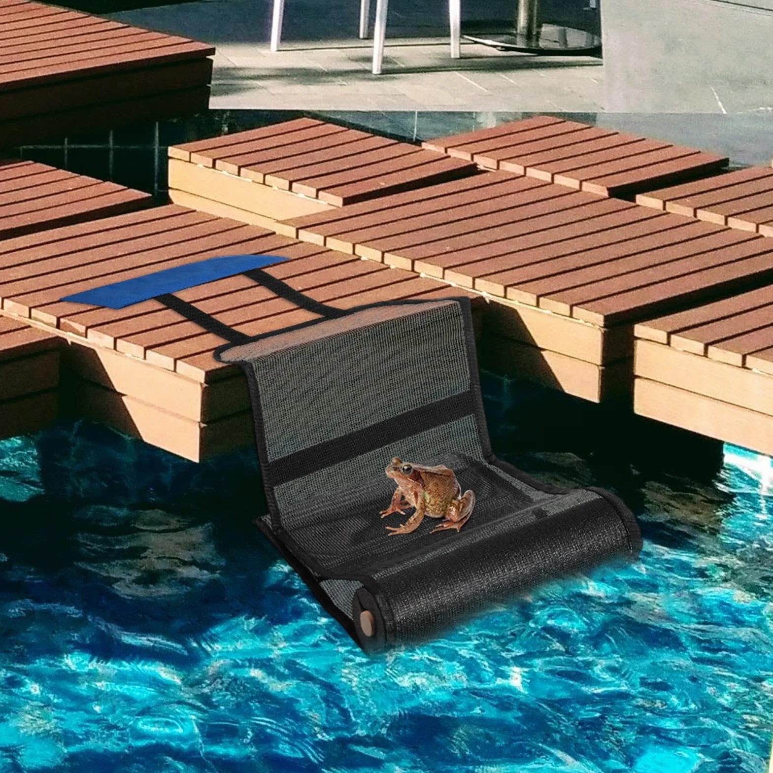 Rampe Animaux Piscine Tissu Oxford 2 Pack, Rampe De Sauvetage pour Chats Chiots