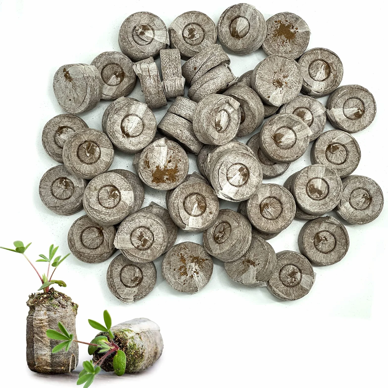 Bloc de Nutrition pour Semis Pastille de Tourbe Compressée 33mm Pastille de Coco Culture des Plantes de Jardin 50 Pcs