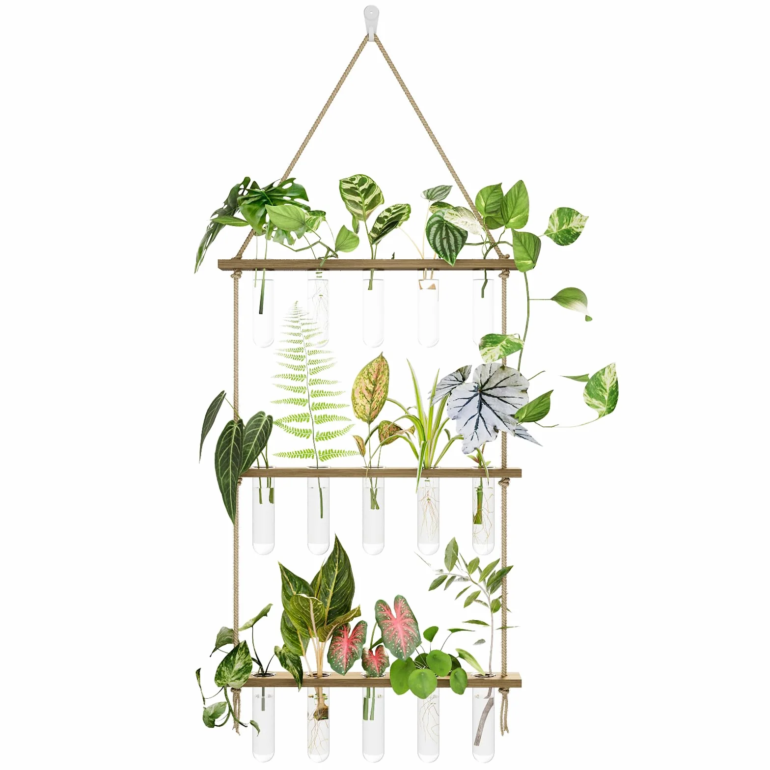 Bamworld Station de Propagation avec 15 Tubes à Essai et Support Bois, Accessoire Jardinage pour Boutures et Hydroponie
