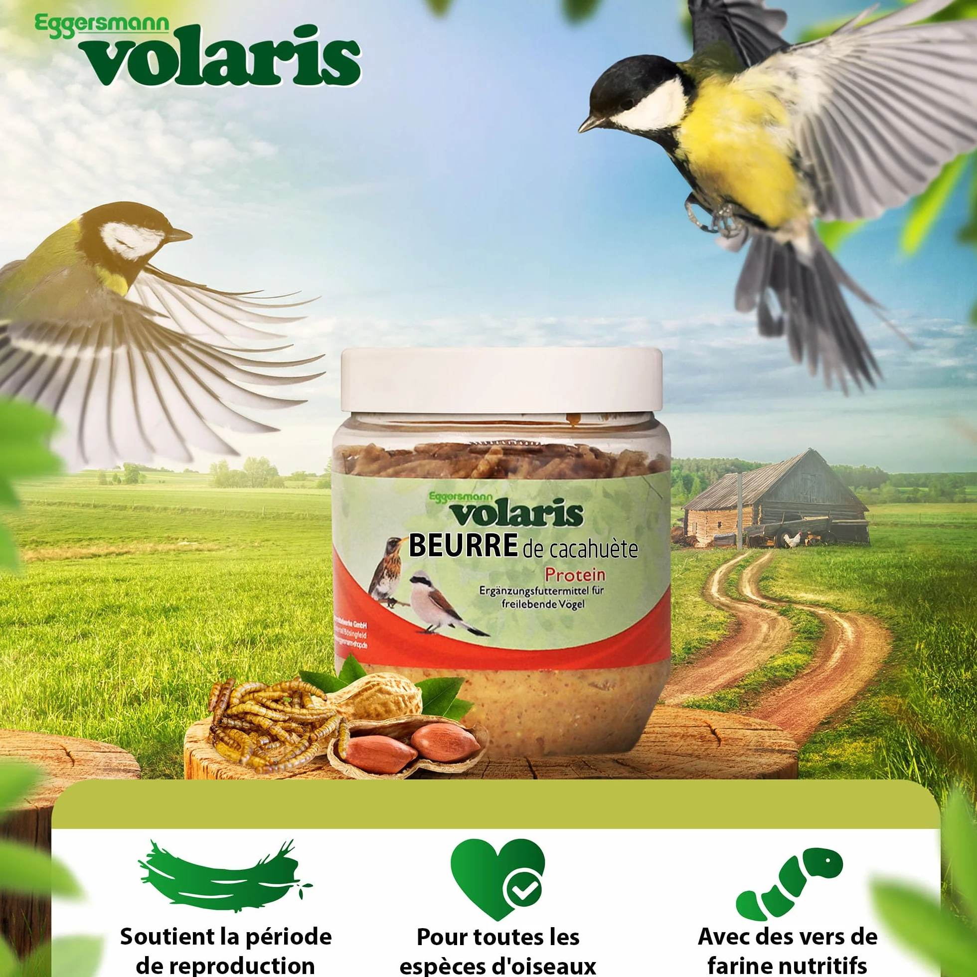 Eggersmann Volaris Beurre de Cacahuètes pour Oiseaux Sauvages 3 x 350 g Riche en Calories