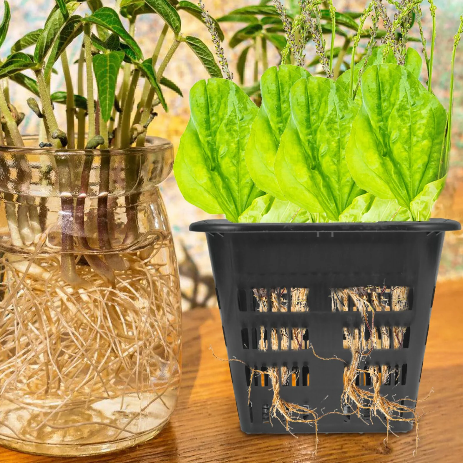 Supvox Lot de 8 paniers à légumes hydroponiques - Pot en maille carré plastique