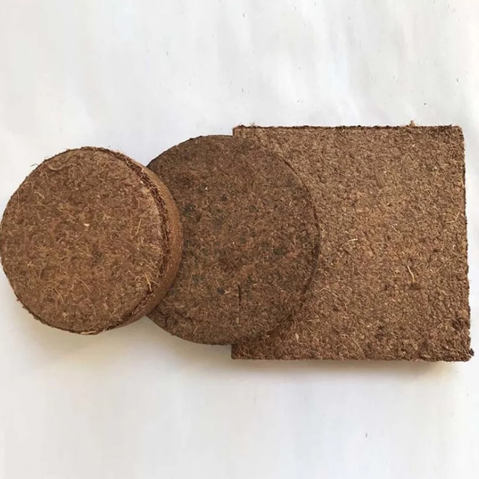 Plateau De Semis Bloc De Nutrition Pastilles De Tourbe pour Culture De Plantes 50Pcs
