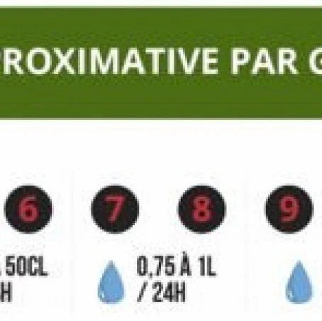 IRISO Kit réserve 10 goutteurs avec Supports