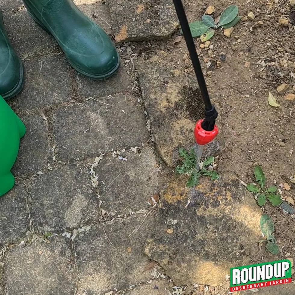 ROUNDUP Désherbant Concentré 2-en-1 Mauvaises Herbes & Mousses 400ml