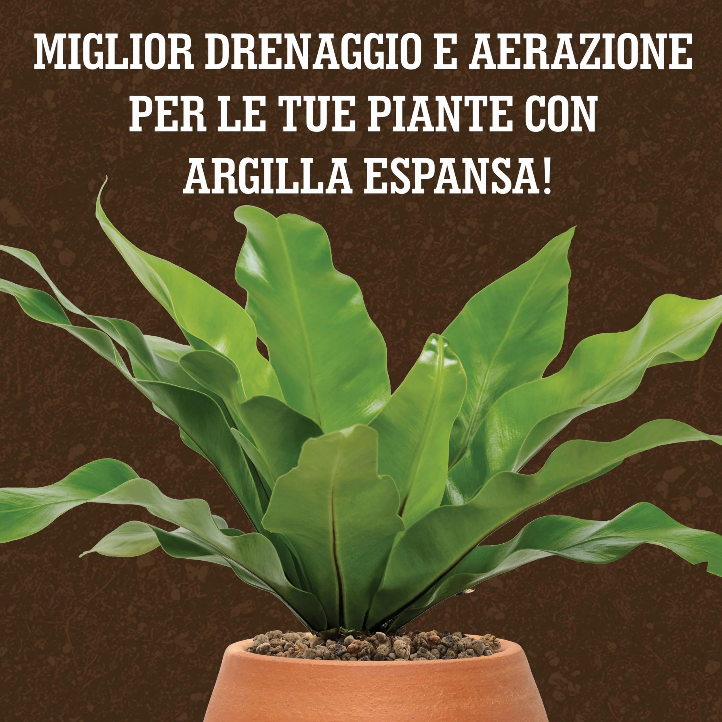 Billes d'argile LERAVA 1L - Substrat naturel léger pour plantes d'intérieur - Drainage optimal et décoration végétale - Made in Italy