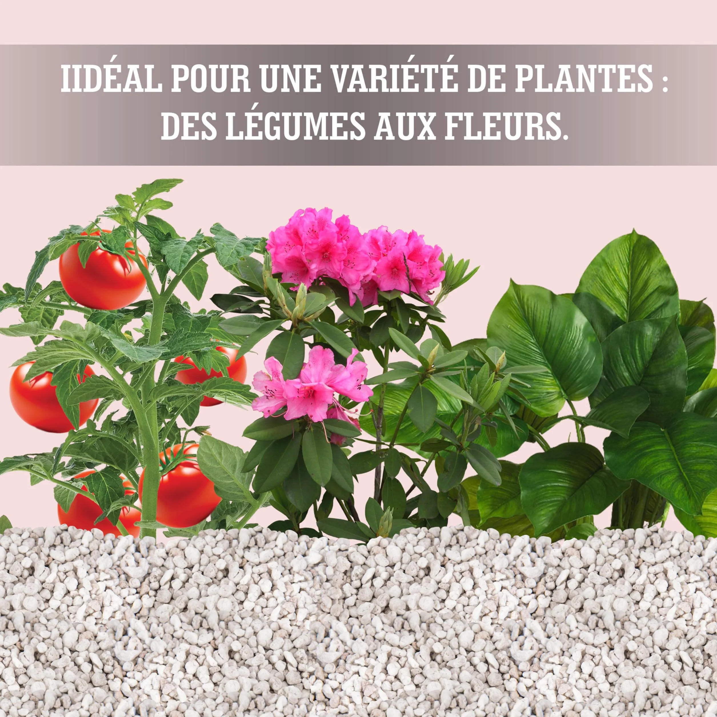 Perlite pour Plante 3 L - Drainage du terreau intérieur - Aération optimale - Jardin Balcon