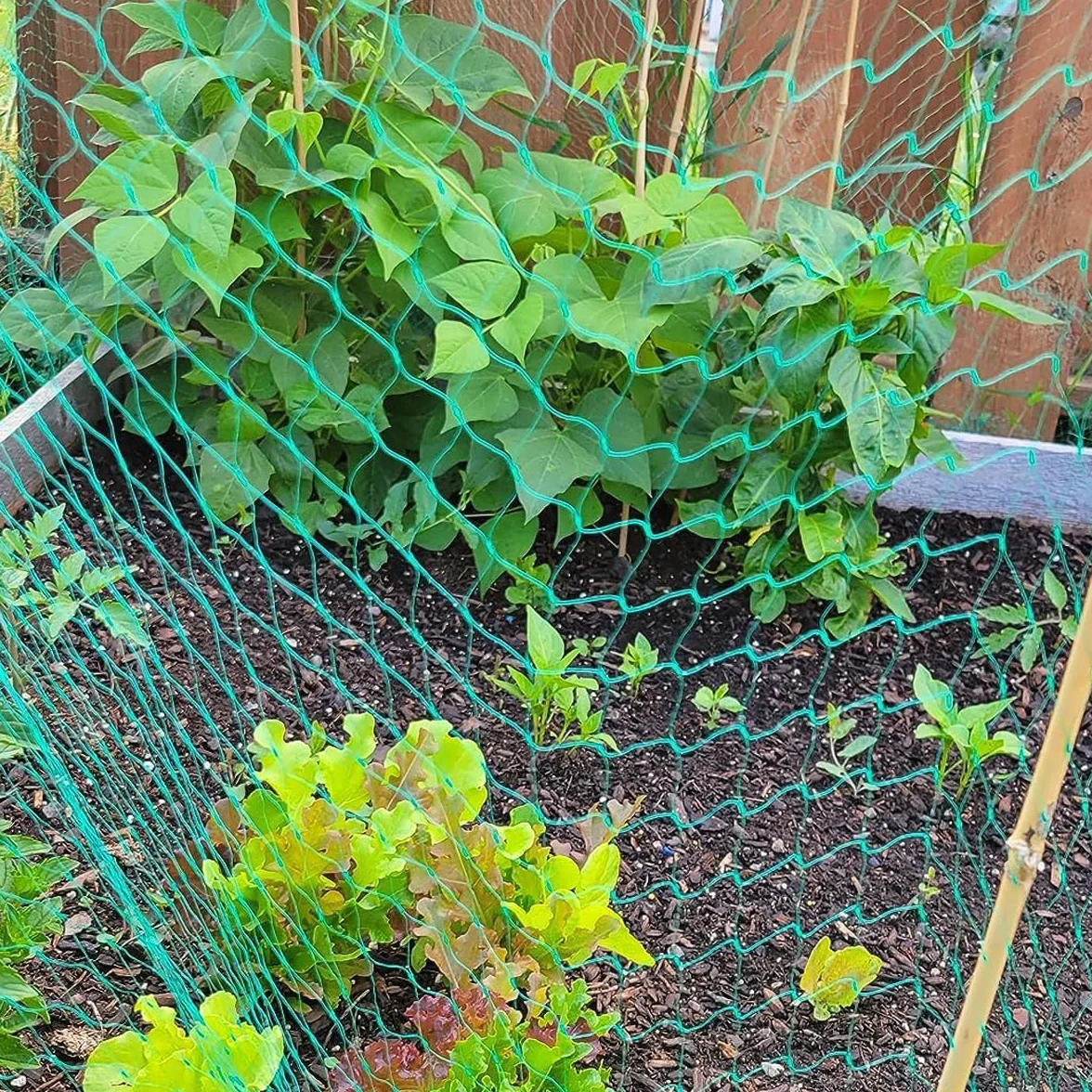 Filet Anti Oiseaux 4x15m Jardin Protection Maille 1.5x1.5cm