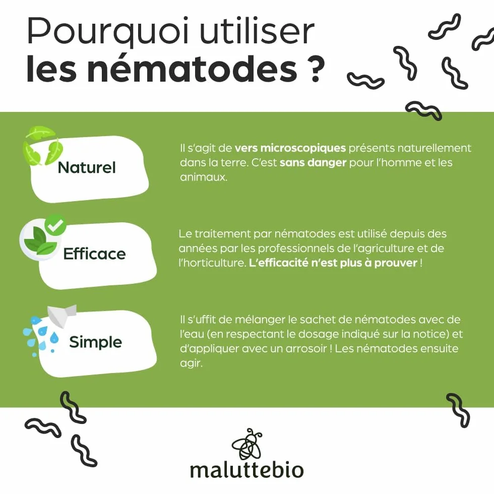 Nématodes HB contre Vers Blancs 5M pour 10 m² – Traitement naturel jardin, pelouses