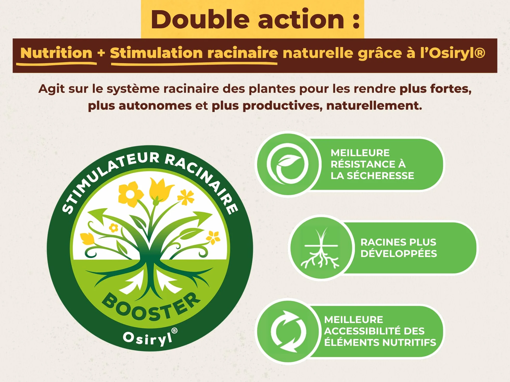 SOLABIOL Engrais Agrumes 750g - Favorise Fructification - Nutrition Longue Durée - Utilisable en Agriculture Biologique