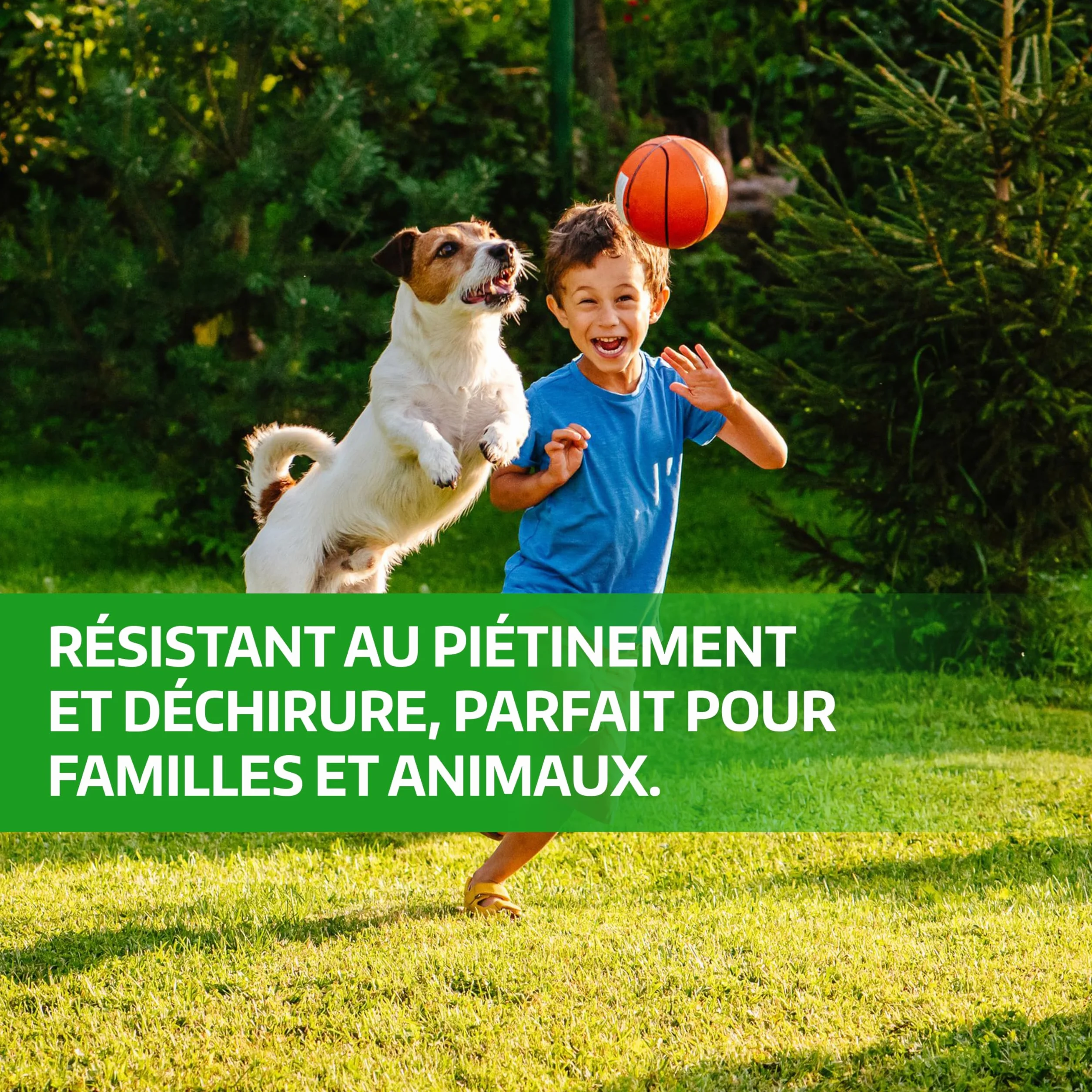 LERAVA Gazon Cynodon dactylon 200 g pour 20 m² Résistant piétinement sécheresse