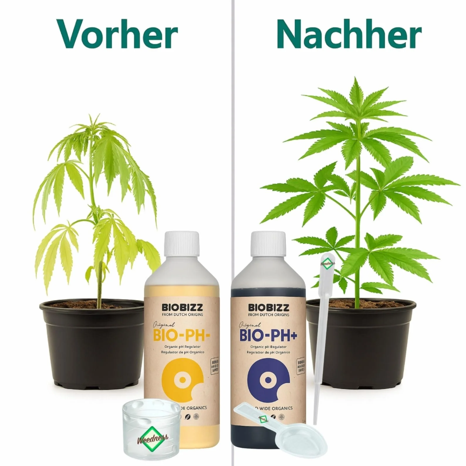 BioBizz Bio pH+ Plus 250 ML pH- Minus 250 ML - pH-Lifter Engrais Cultures d'intérieur