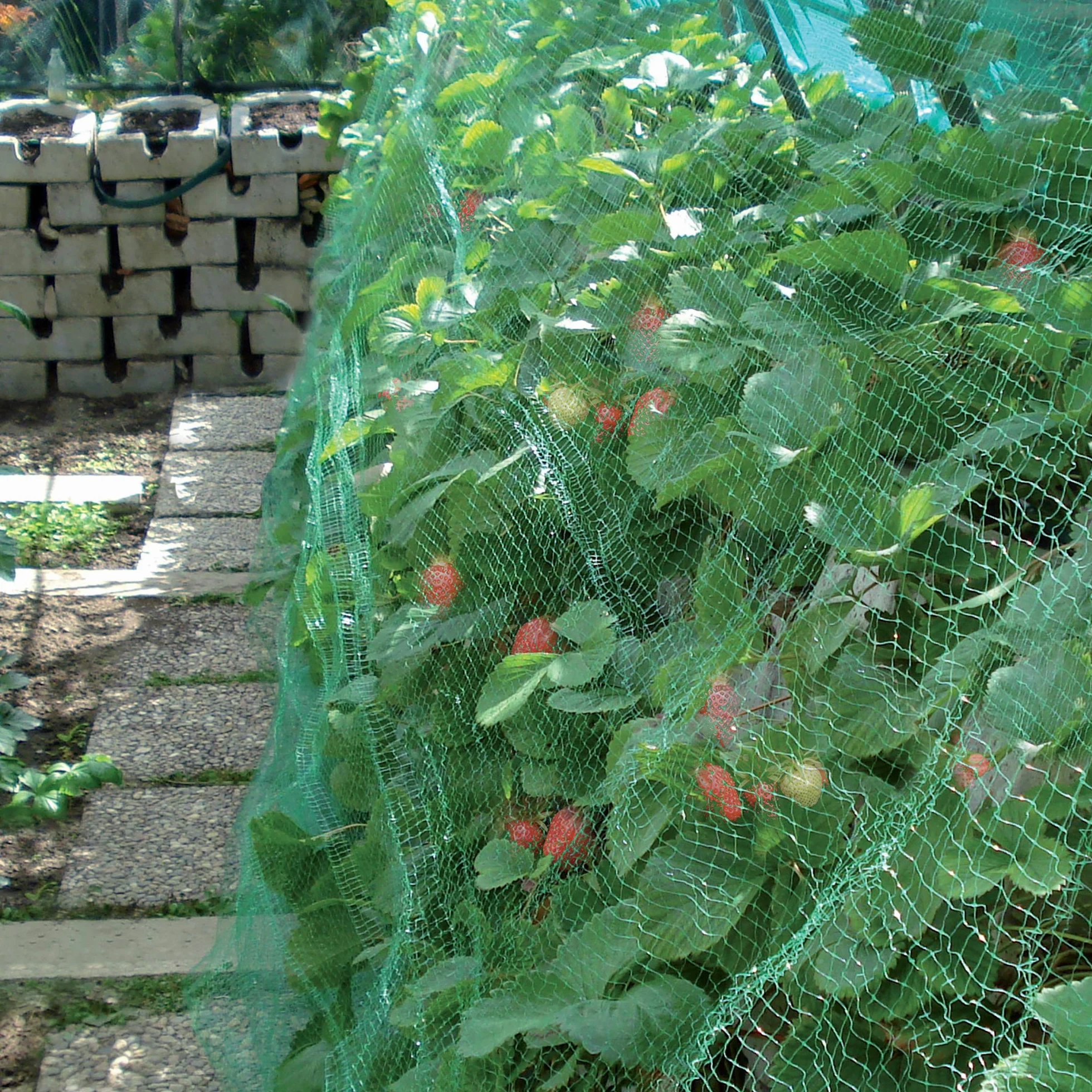Tenax ORTOFLEX 4,00x5 m Vert Filet Anti-Oiseaux Protection Fruits Cultures