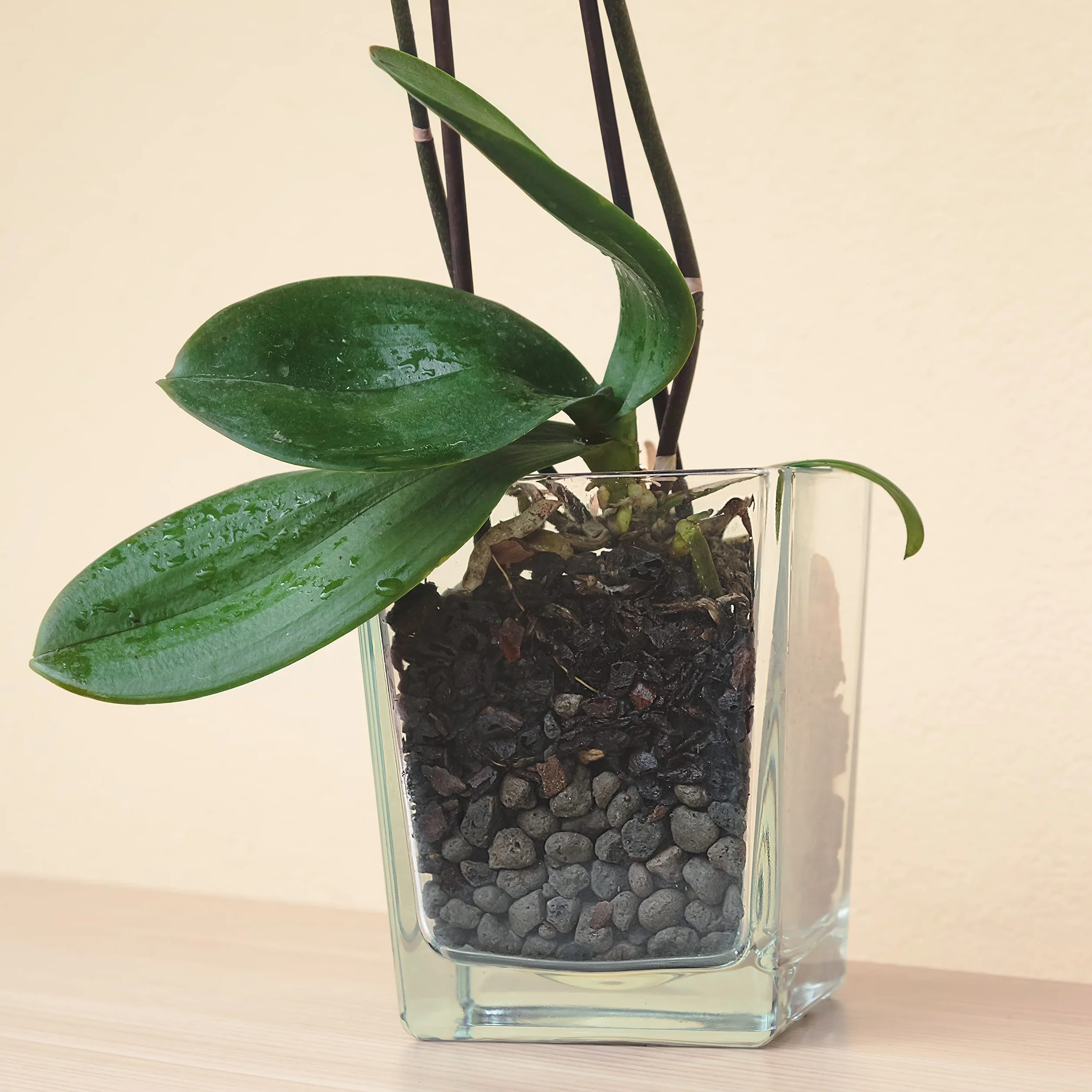 Argile expansée pour Plantes 100% Naturelle PH Neutre 2L