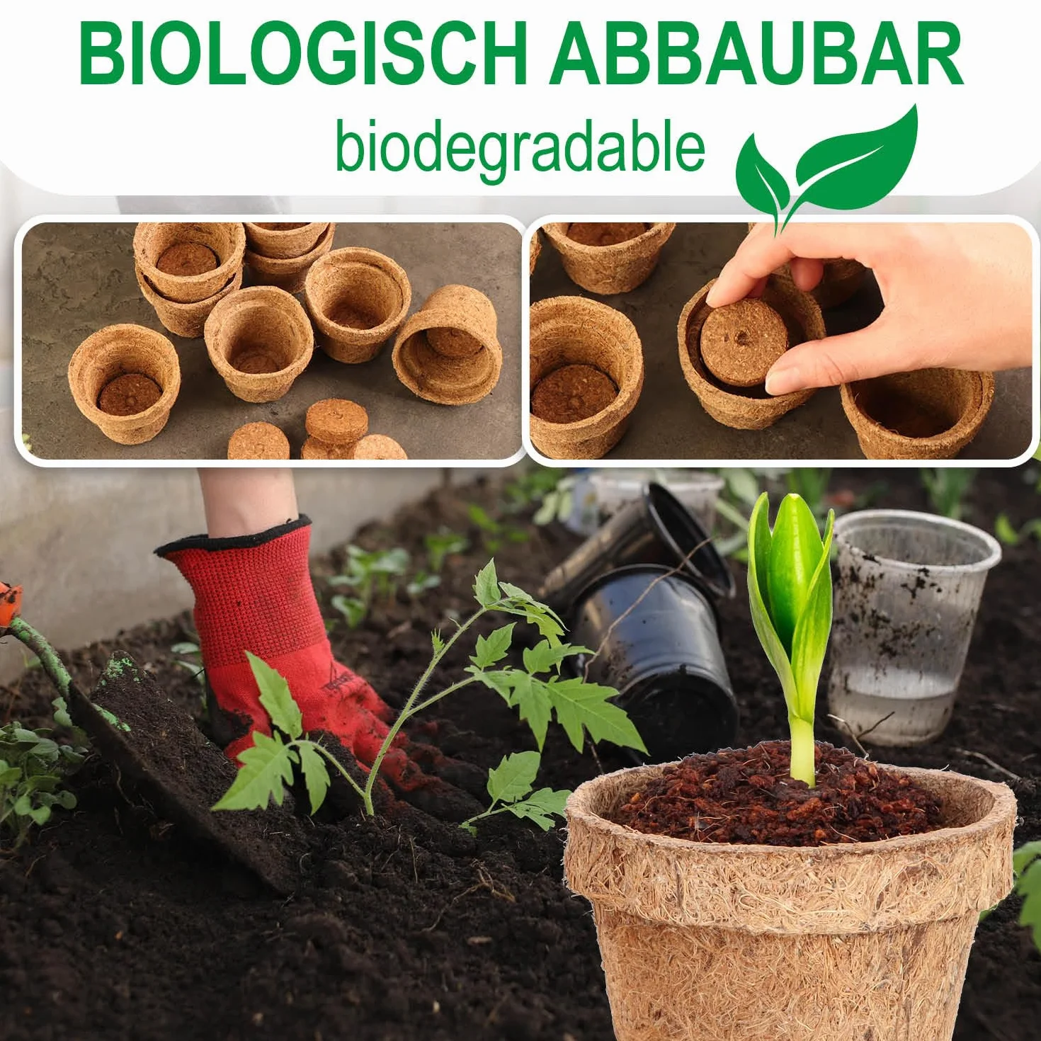 Kit de Culture de Noix de Coco 20 pièces - Disques de Noix de Coco Biodégradables avec Pot et Languettes Gonflantes