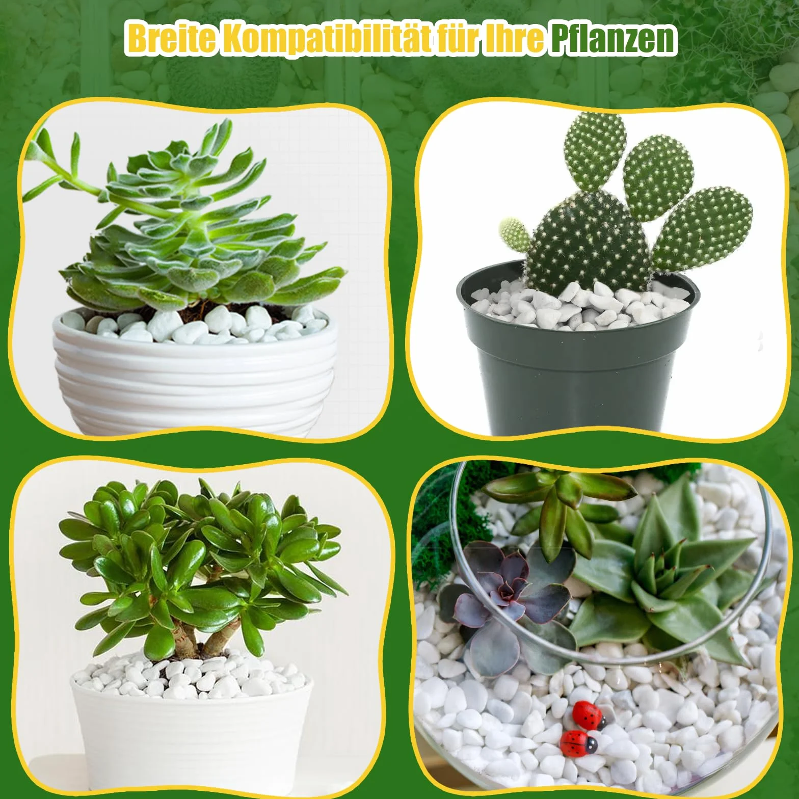 Perlite grossière pour plantes 1-2 cm, additif naturel pour sol, améliore drainage et ventilation, croissance racines (1L)