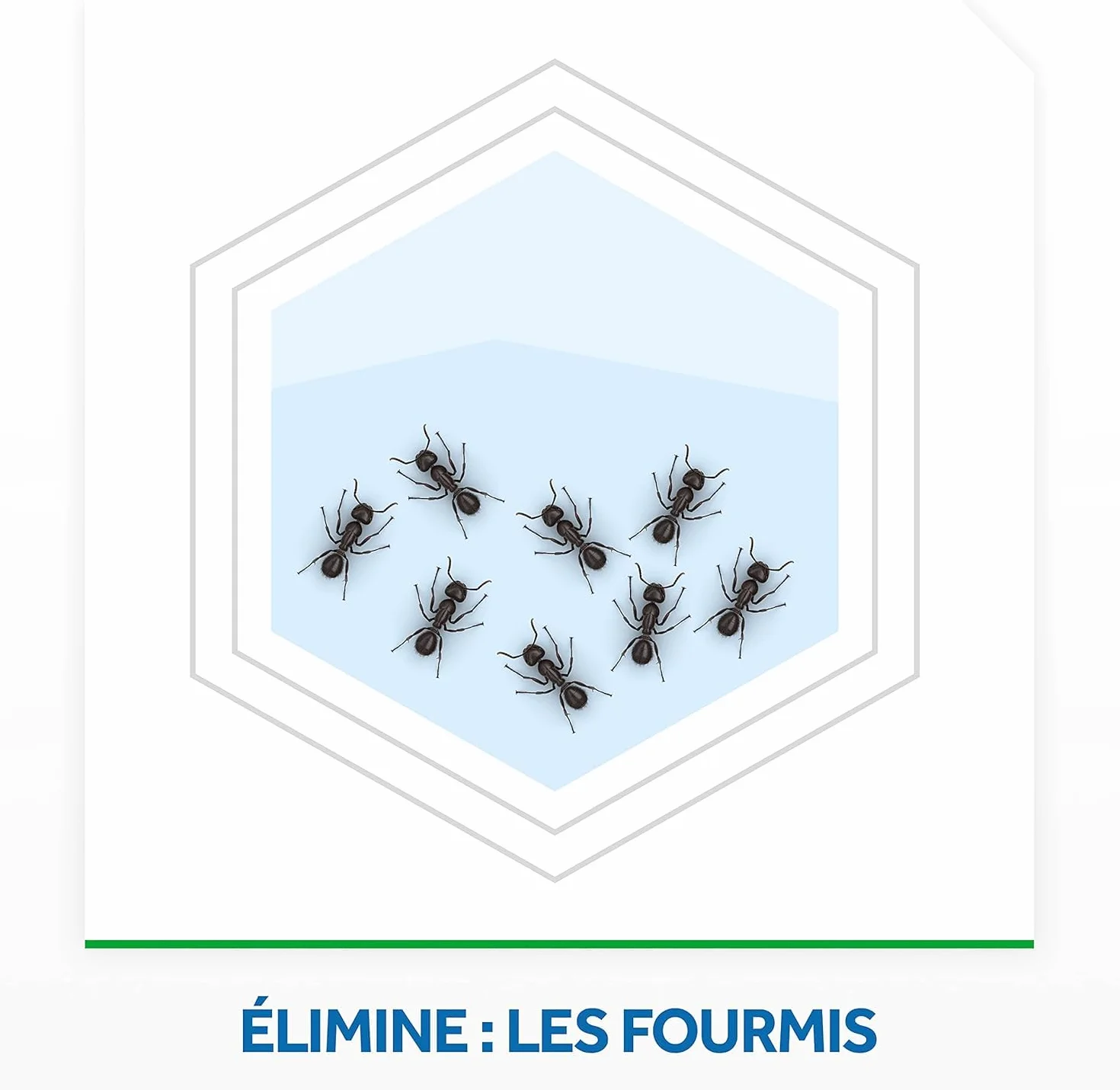 Raid Max Système Anti-Fourmis - Piège 1 Pièce