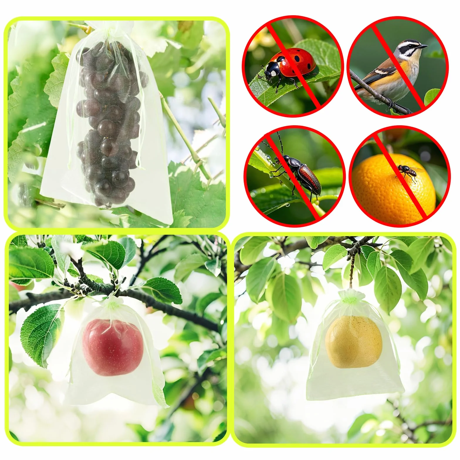 Sacs de Protection pour Fruits en Organza Vert 15x20 cm Lot de 50