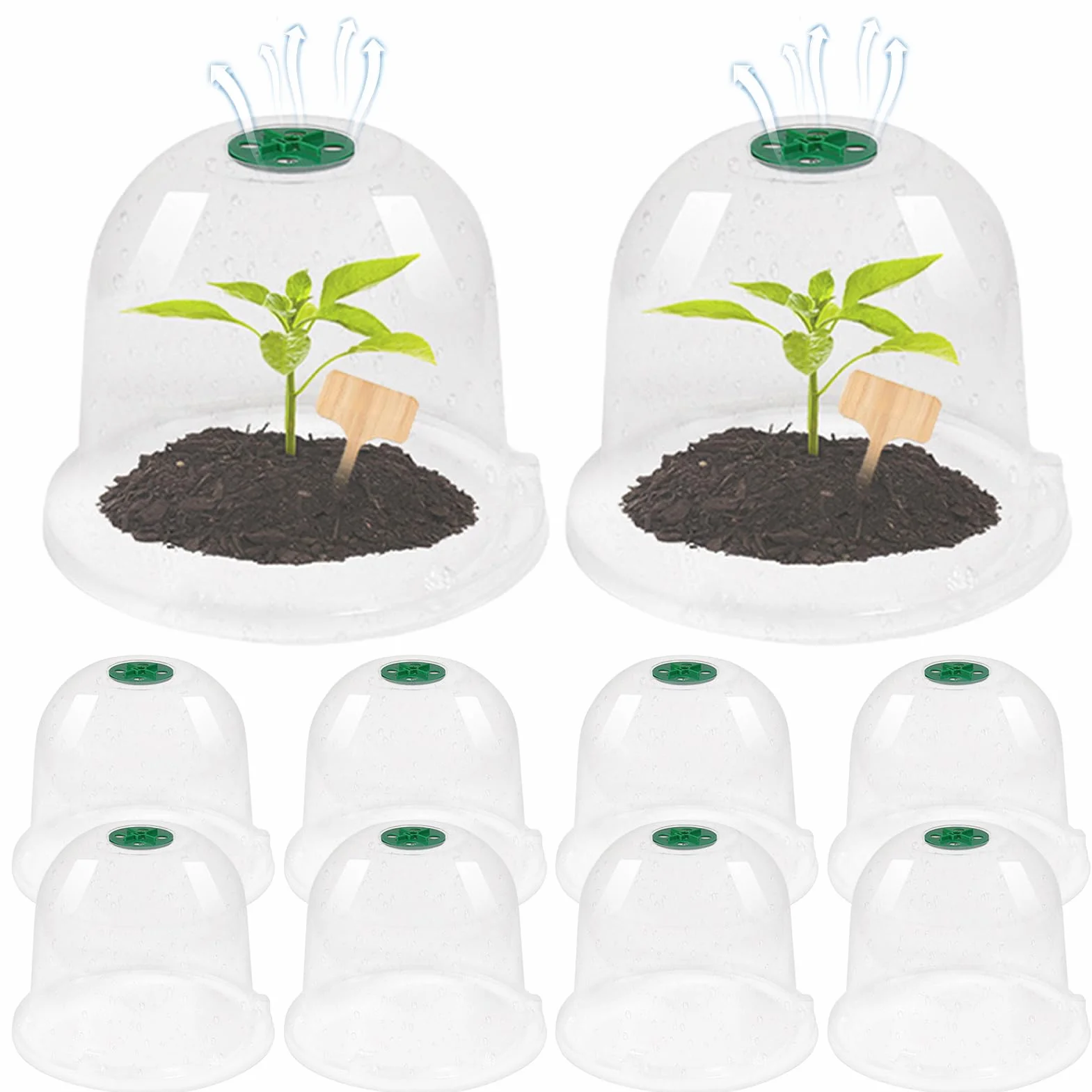 Cloches de Jardin en Plastique Lot de 10 - Dôme d'Humidité Protection Contre le Gel