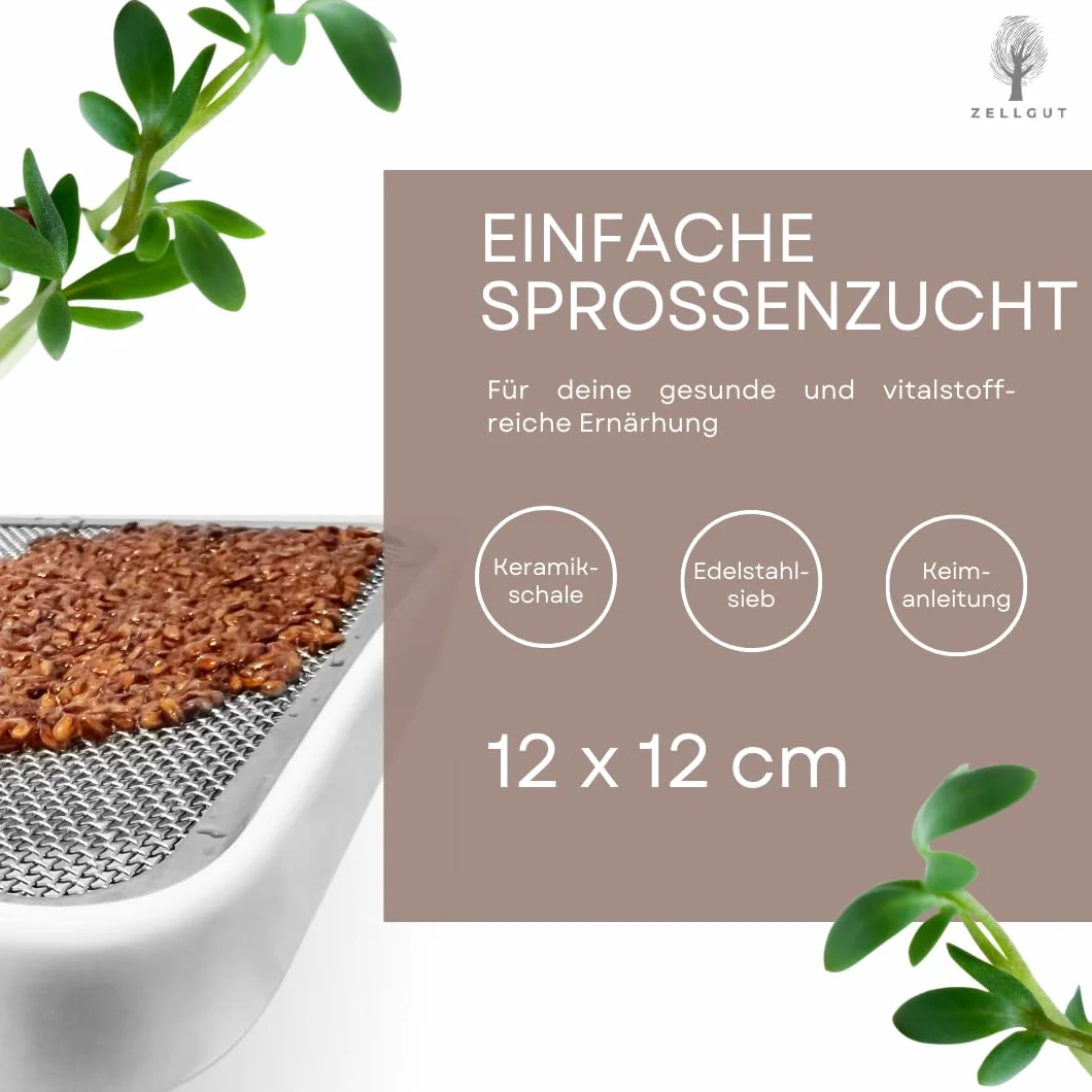Passoire à Cresson Bac à Germination 12 cm Bol Céramique Tamis Acier Inoxydable Microgreens