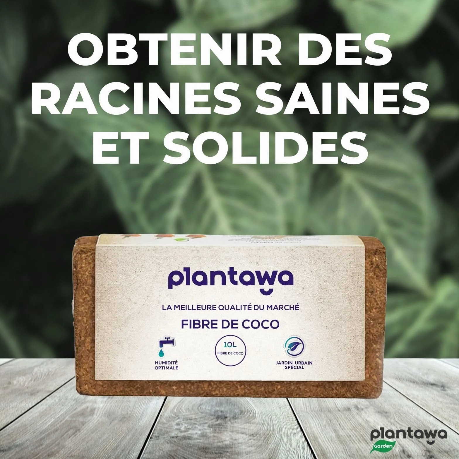 PLANTAWA Fibre De Coco 10L | 100% Naturelle pour Plantes | Maintient Humidité et Nutriments