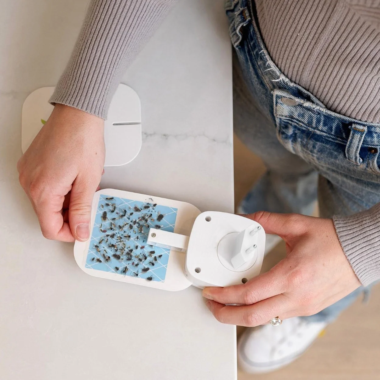 VEYOFLY Recharges pour piège à Insectes Volants, Attrape-Insectes, Tueur de moustiques (Lot de 5)