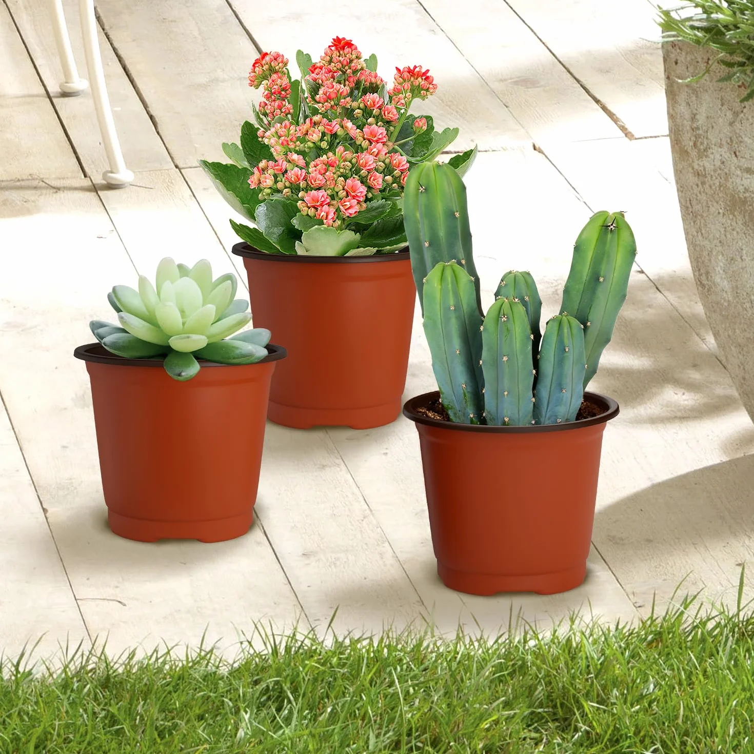 Pots de Fleurs en Plastique 100 Pièces avec Trous de Drainage pour Semis et Repiquage