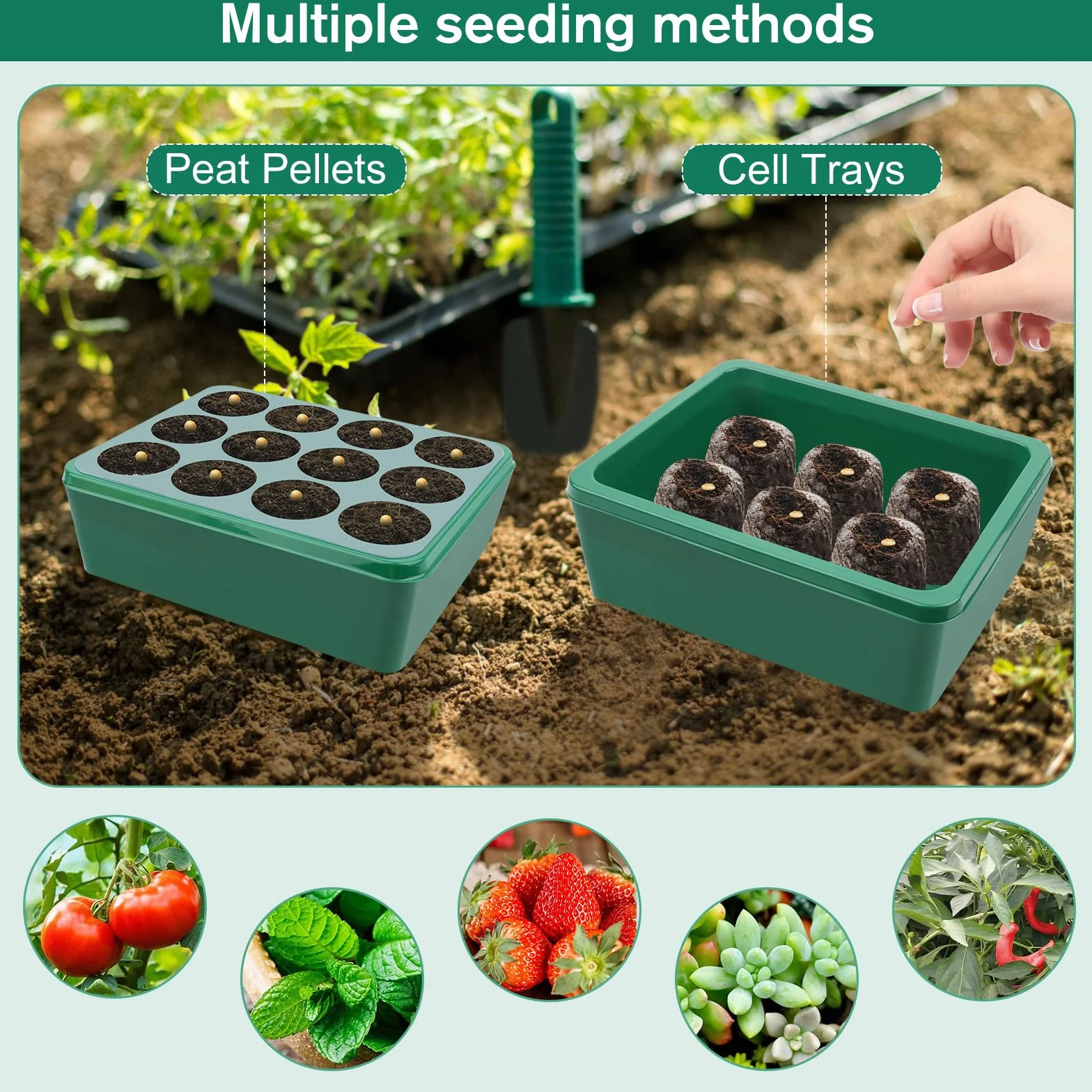KEWUZY Mini Serre pour Plantes 5 Pièces Bac à Semis avec Couvercle Surélevé et Évents