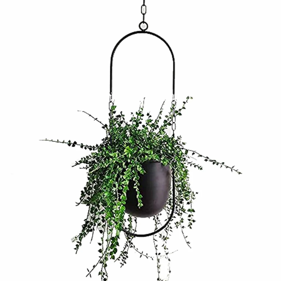 Panier Boho Suspendu en Métal - Jardinière Murale pour Plantes d'Intérieur (Noir)