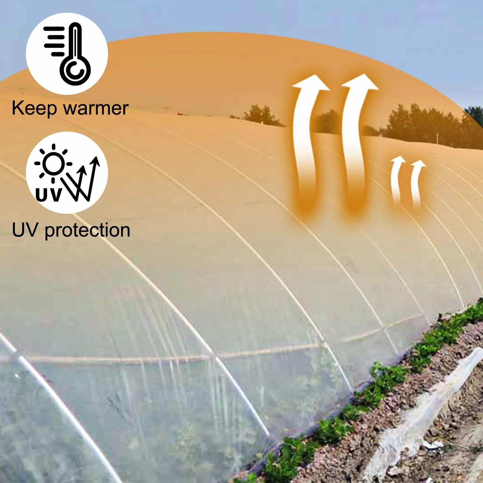 VEVOR Film à Effet de Serre 6 x 8,5 m Polyéthylène 0,15 mm Housse de Protection