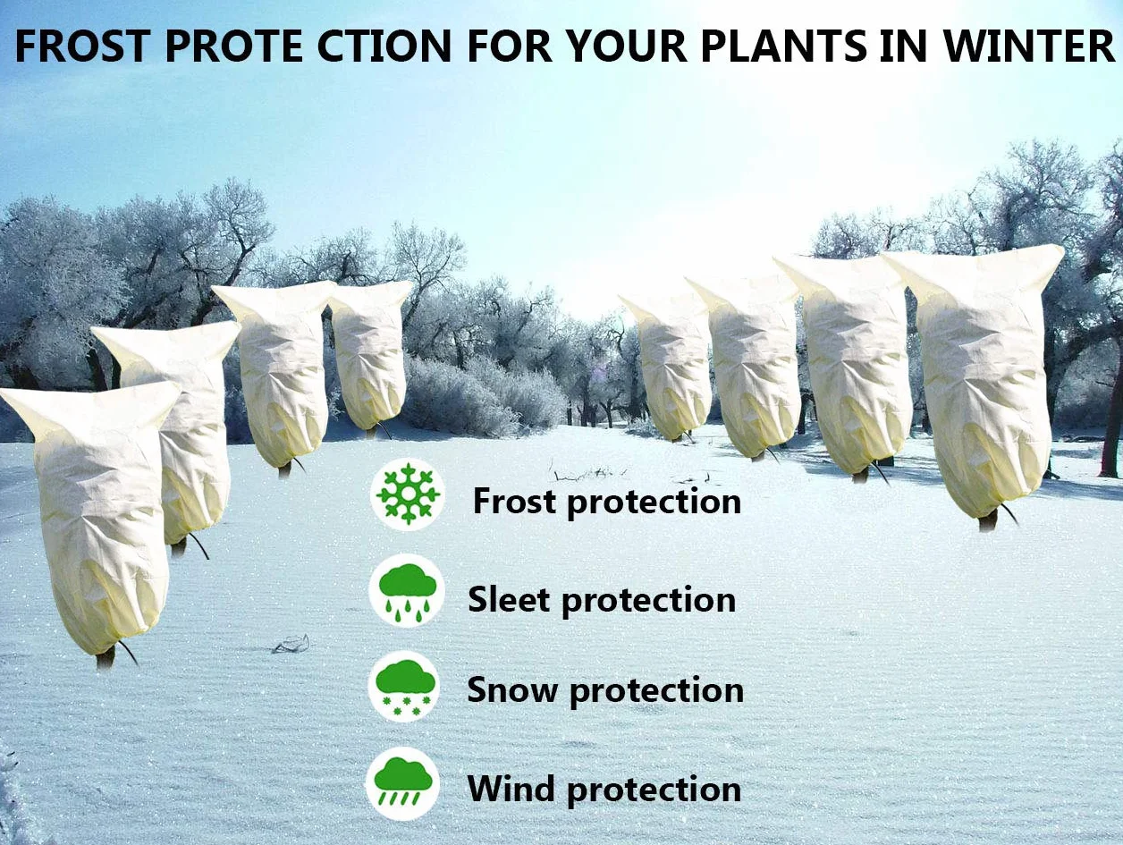 Housse Hivernage Plante 80x60cm Protection Plantes Réutilisable 2 Pack