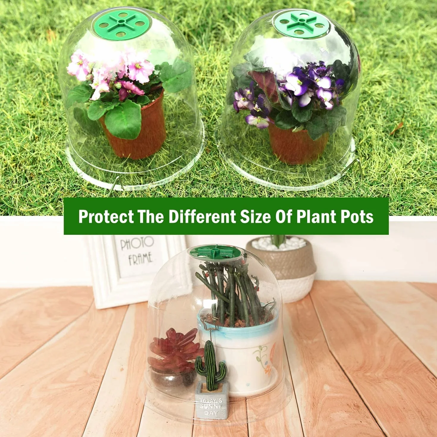 Cloche pour Plantes de Jardin LATERN 26CM x 20CM Mini Serre en Plastique 10 Pièces avec Piquets de Fixation