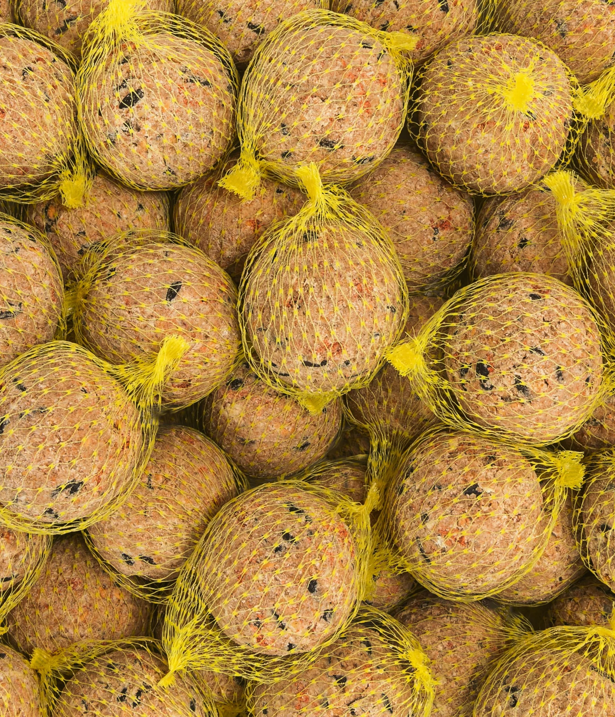 Dehner Natura Nourriture pour Oiseaux Sauvages, Boules de Graisse aux Baies, 30 pièces 90 g (2,7 kg)