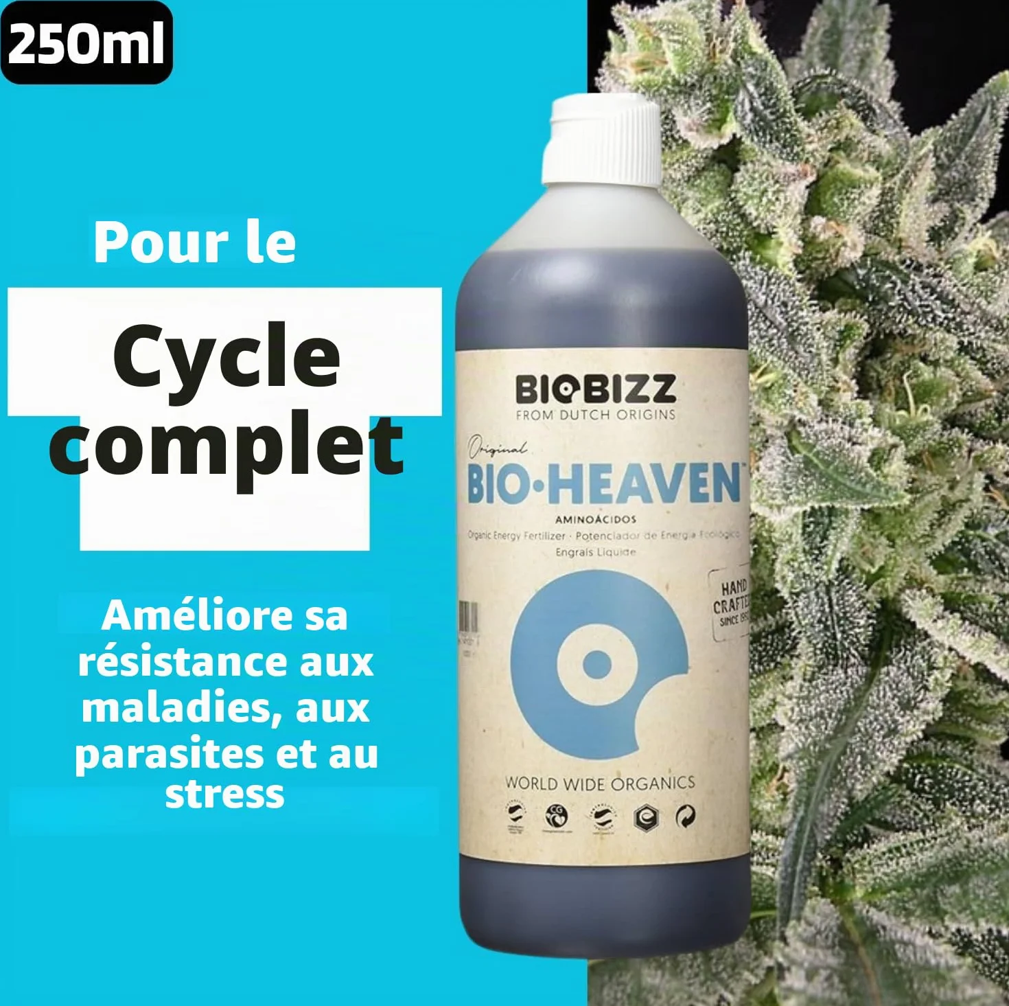 Biobizz Pack Démarrage Engrais Liquide pour Plantes Set de Croissance