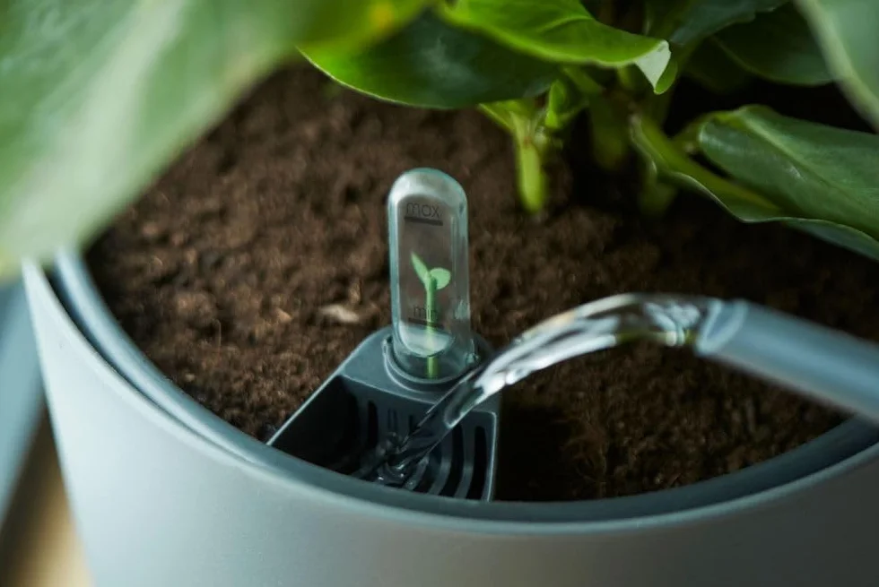 Elho Self-Watering Insert 17 - Accessoires pour Intérieur - Plastique Recyclé - Ø 17.0 x H 15.7 cm - Noir