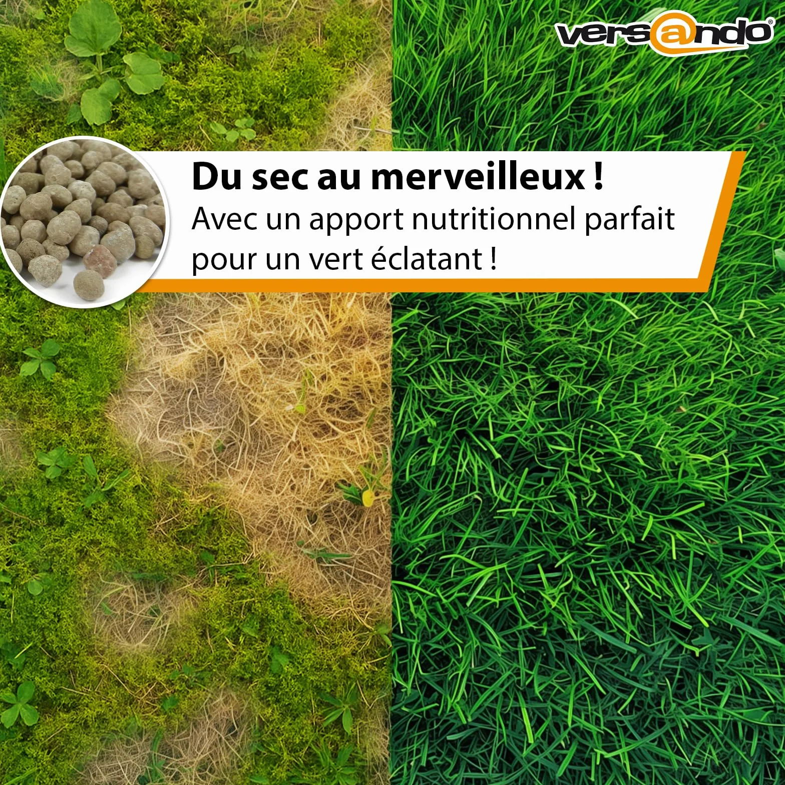 Versando Engrais Gazon Été 10kg 500m² Anti-Mousse Anti-Mauvaises Herbes