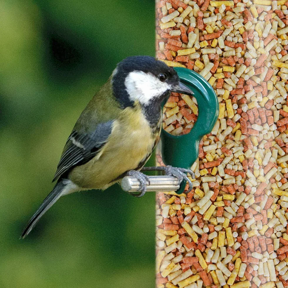 Granulés de graisse GardenersDream pour oiseaux sauvages - Mélange énergétique baies et vers de farine