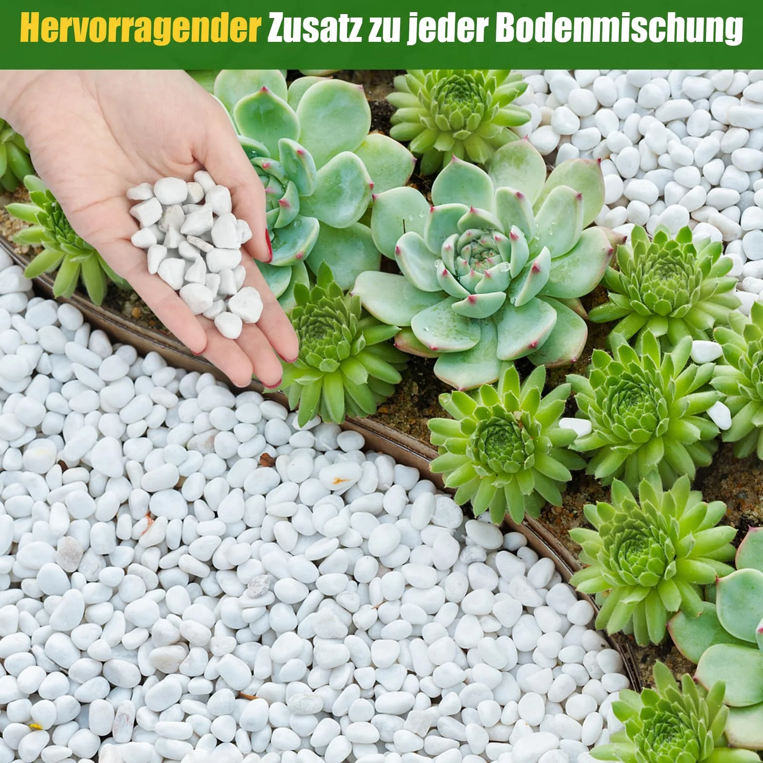 Perlite grossière pour plantes 1-2 cm, additif naturel pour sol, améliore drainage et ventilation, croissance racines (1L)